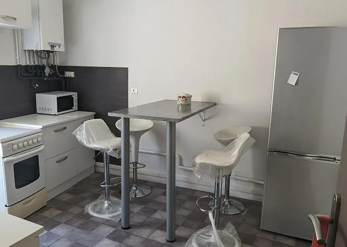 Appartement Renove-Equipe En Centre-Ville